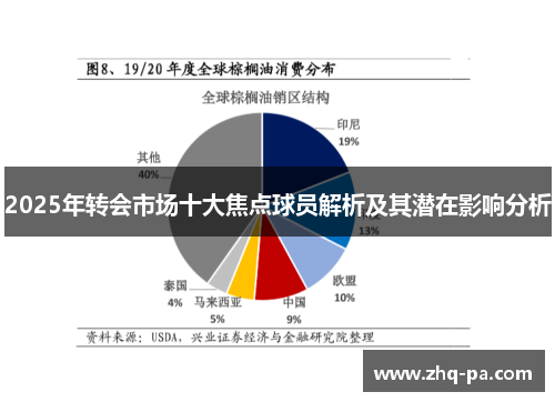 2025年转会市场十大焦点球员解析及其潜在影响分析