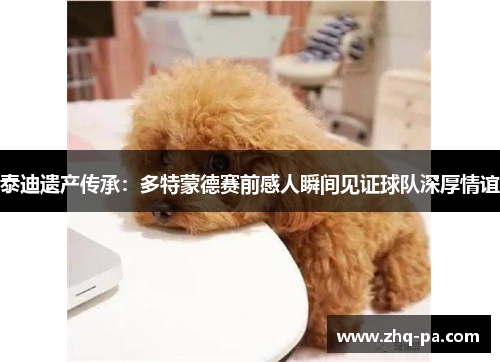 泰迪遗产传承：多特蒙德赛前感人瞬间见证球队深厚情谊