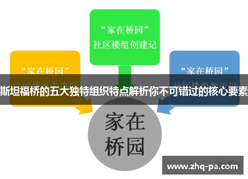 斯坦福桥的五大独特组织特点解析你不可错过的核心要素
