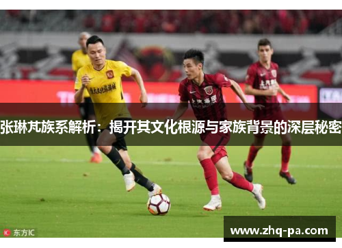 张琳芃族系解析：揭开其文化根源与家族背景的深层秘密