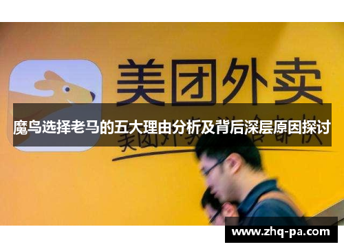 魔鸟选择老马的五大理由分析及背后深层原因探讨