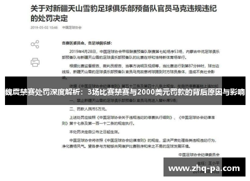 魏震禁赛处罚深度解析：3场比赛禁赛与2000美元罚款的背后原因与影响