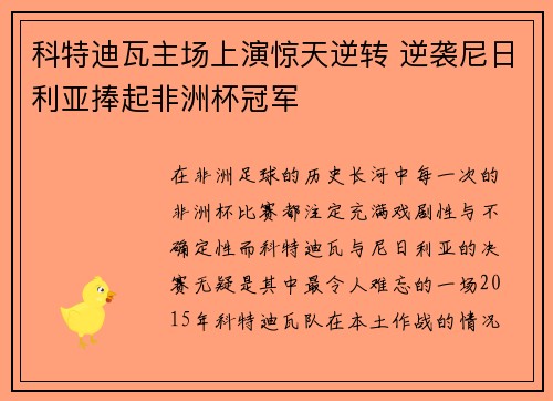 科特迪瓦主场上演惊天逆转 逆袭尼日利亚捧起非洲杯冠军